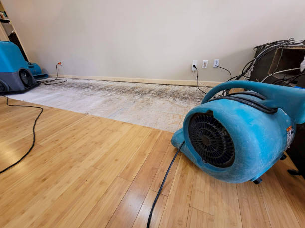 Professional Water Damage Repair technician working in Braselton, GA